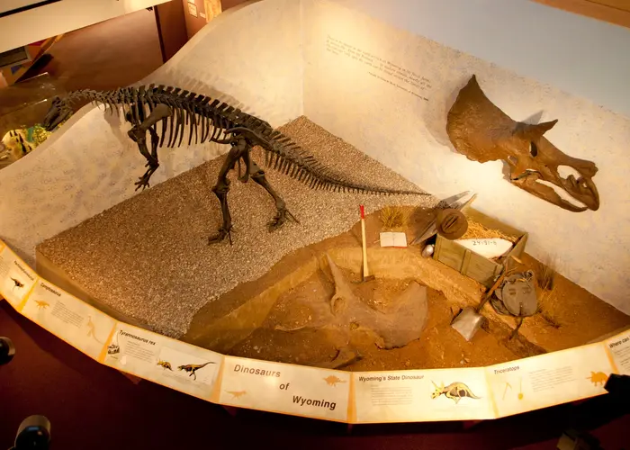 The Wyoming State Museum